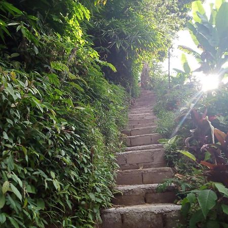 Jungleadventure Cabin Camping Bedugul  Kültér fotó