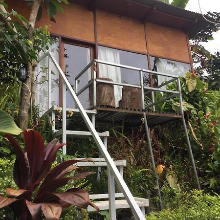 Jungleadventure Cabin Camping Bedugul  Kültér fotó