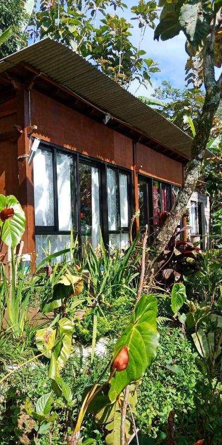 Jungleadventure Cabin Camping Bedugul  Kültér fotó